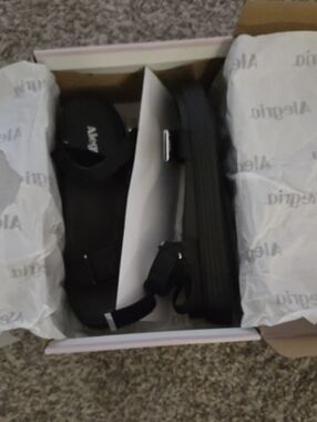 Alegria Branded Shoe Box with White Tissue Wrap